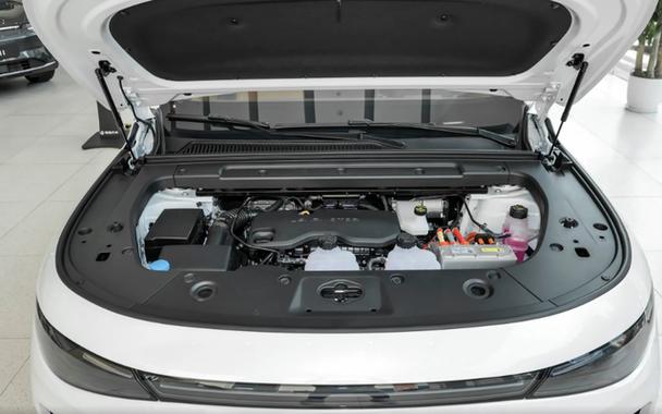 2025新澳门天天开好彩.和街头下水道爬出女子与街头下水道爬出女子身体视频