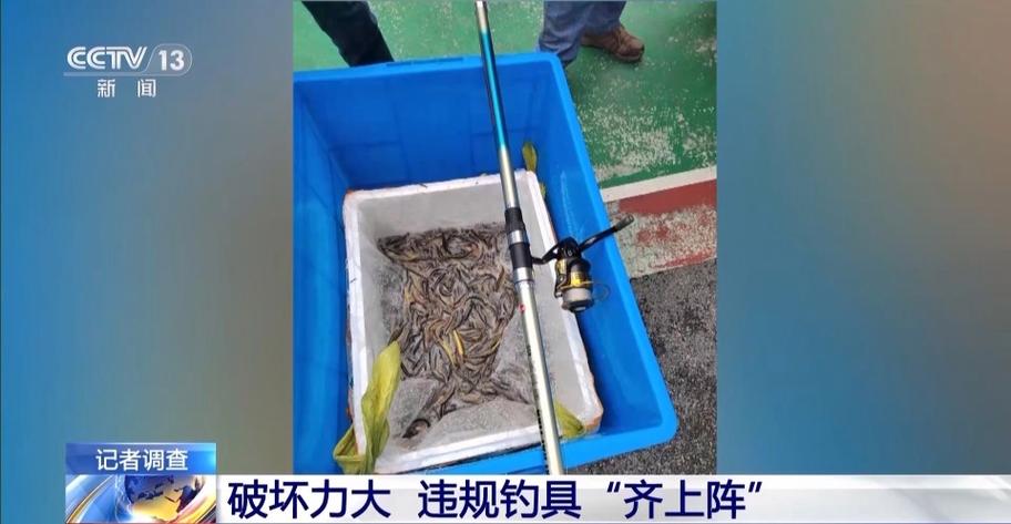 澳门科技大学2025研究生申请和保护区里的疯狂垂钓与保护区里的疯狂垂钓是什么