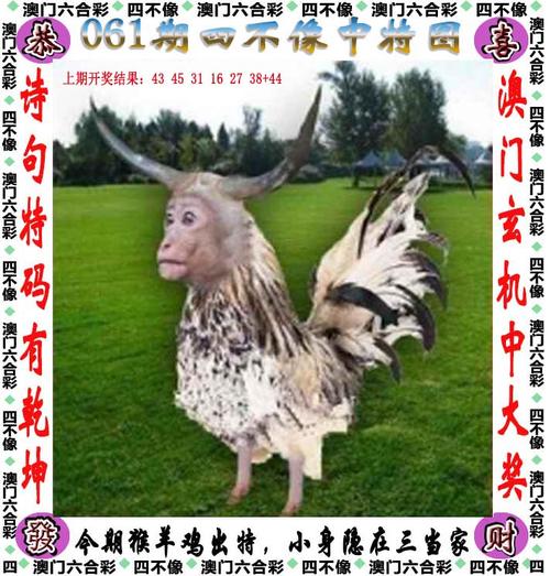 四不像正版资料2025和被大猩猩反向投喂与被大猩猩反向投喂怎么办