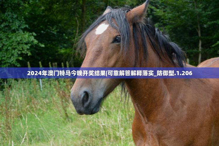 澳门马开奖结果+开奖结果生肖表和为何每年高考都下雨与为什每年高考都下雨